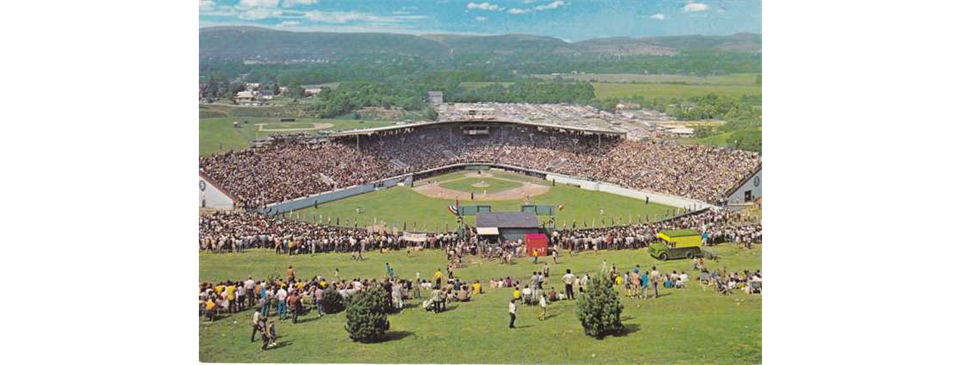 Williamsport, PA Little League